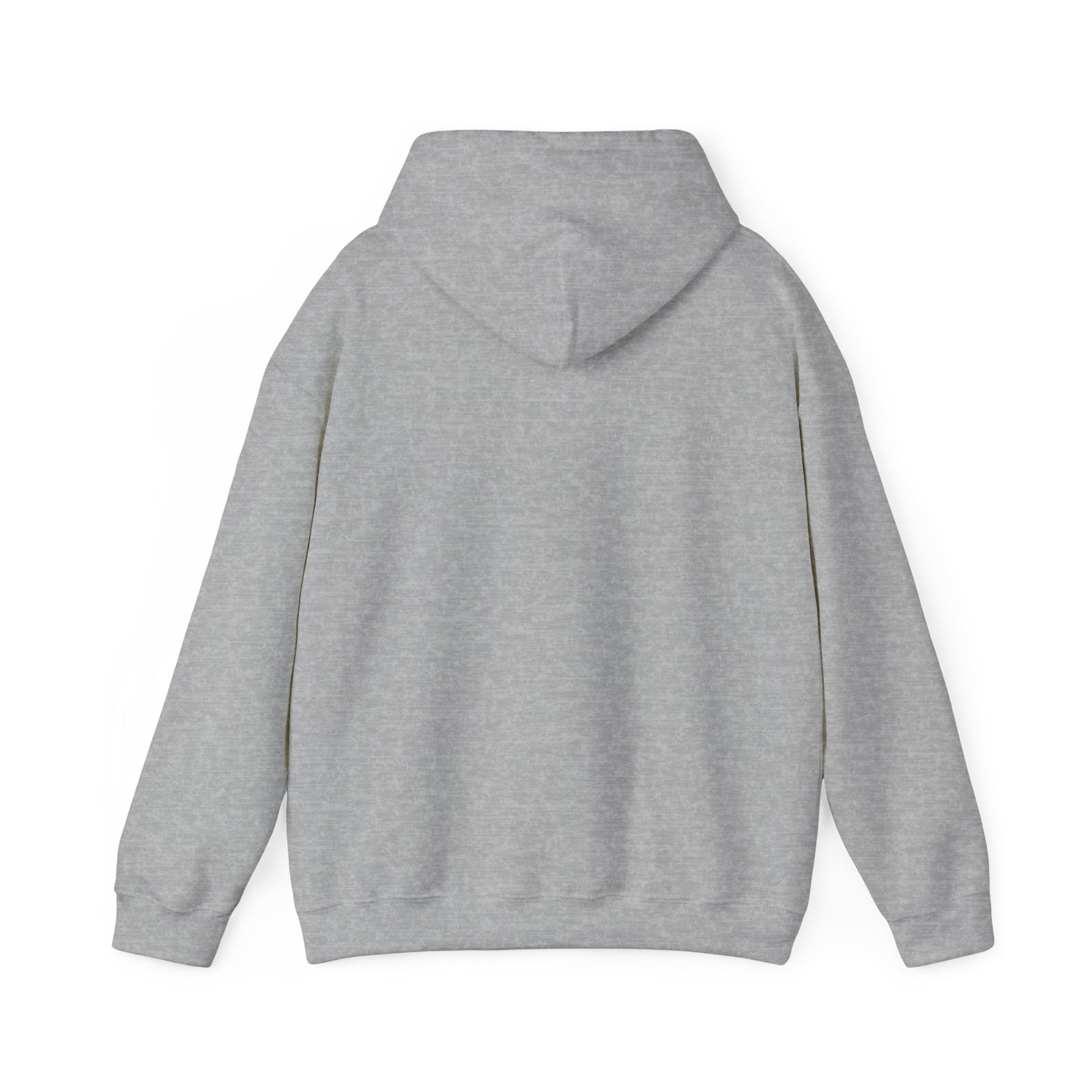 LEVI FLIGHTS Classic Logo Hoodie
