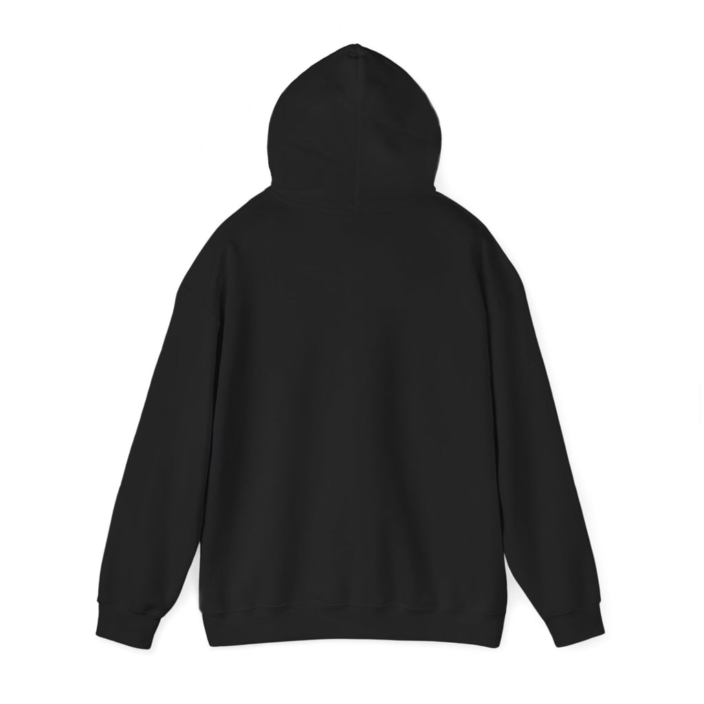 Levi Flights: Jetstream Hoodie Limited Edition