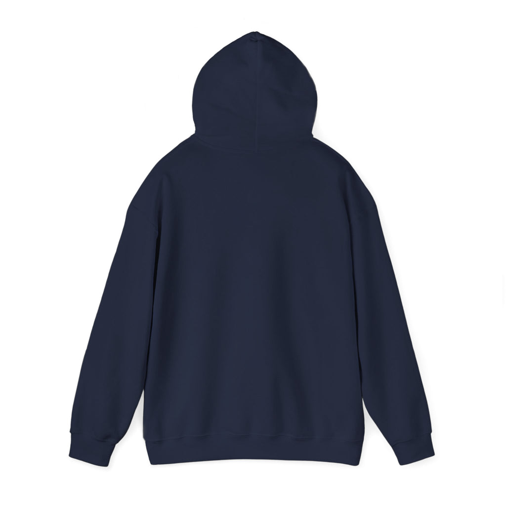 Levi Flights: Jetstream Hoodie Limited Edition