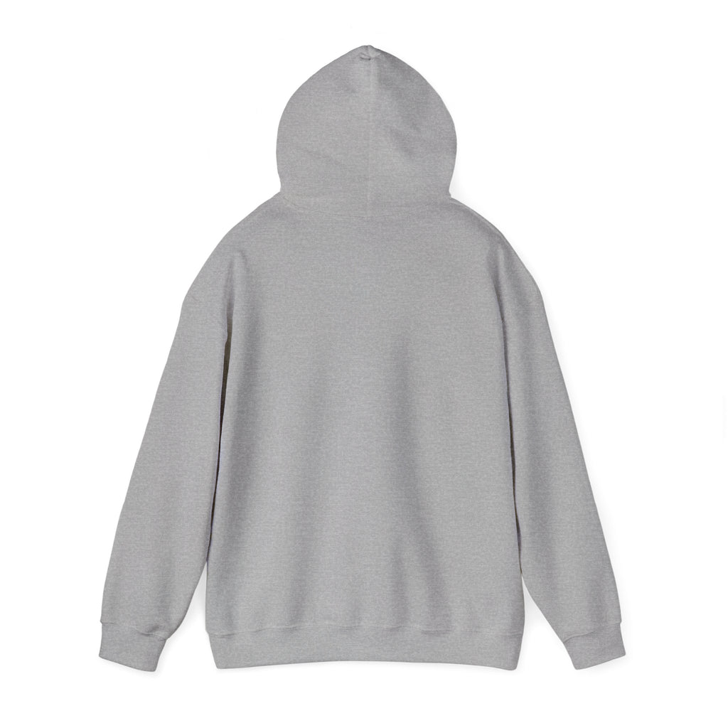 LEVI FLIGHTS Classic Logo Hoodie