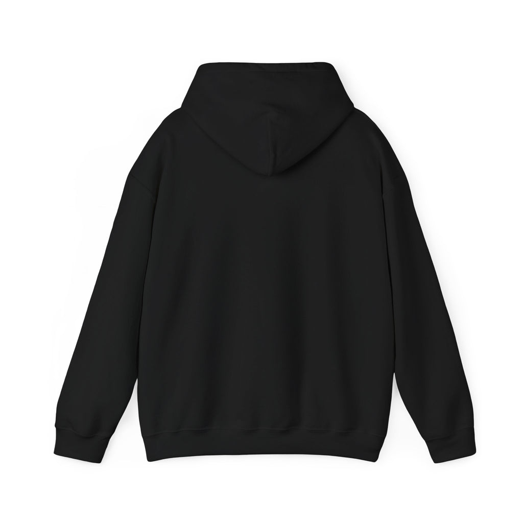 Levi Flights: Jetstream Hoodie Limited Edition